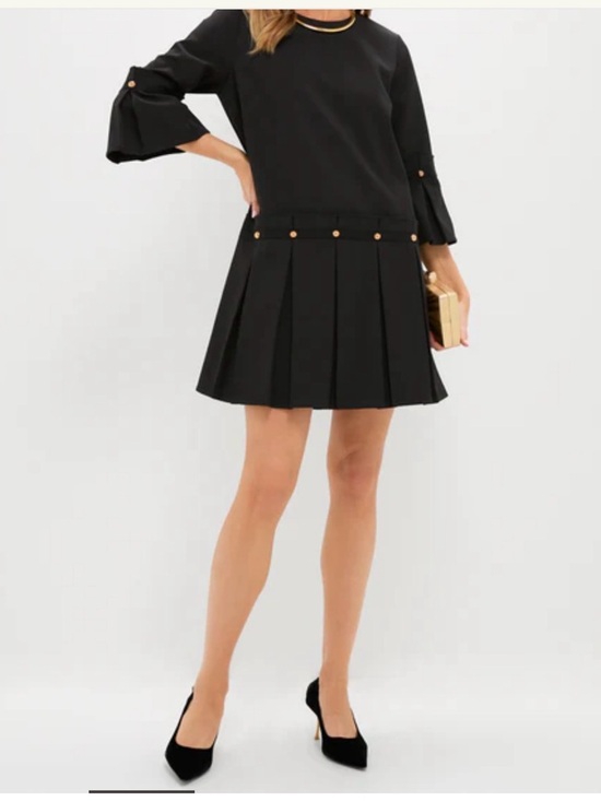 Tuckernuck Dresses & Skirts - Tuckernuck Black Pleated Mini Dress with Gold-Tone Button Detail